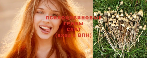 прущий лед Ладушкин
